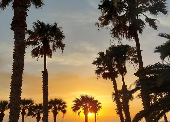 487 B Island Village * Costa Adeje (Tenerife)